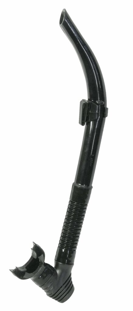 4-Adults-Purge-Snorkel-cc-scaled