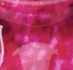 Pink Speara