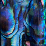 Paua