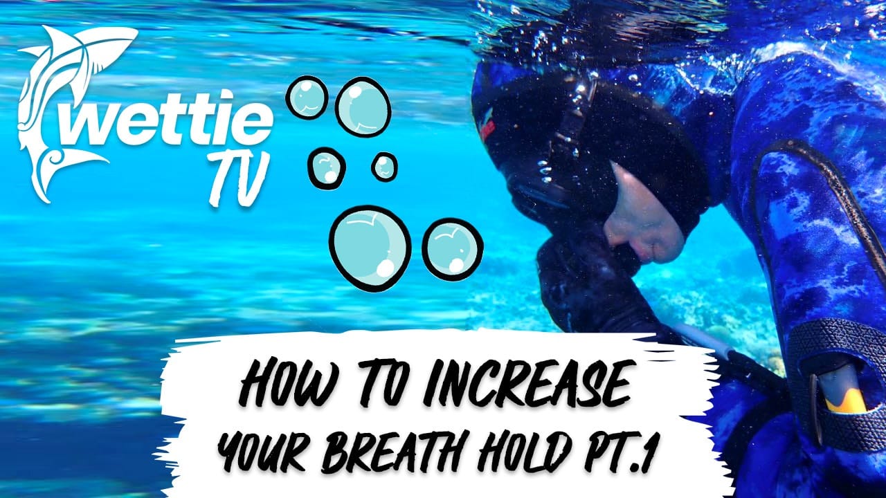 Wettie TV Winter Spearfishing In New Zealand, 46% OFF