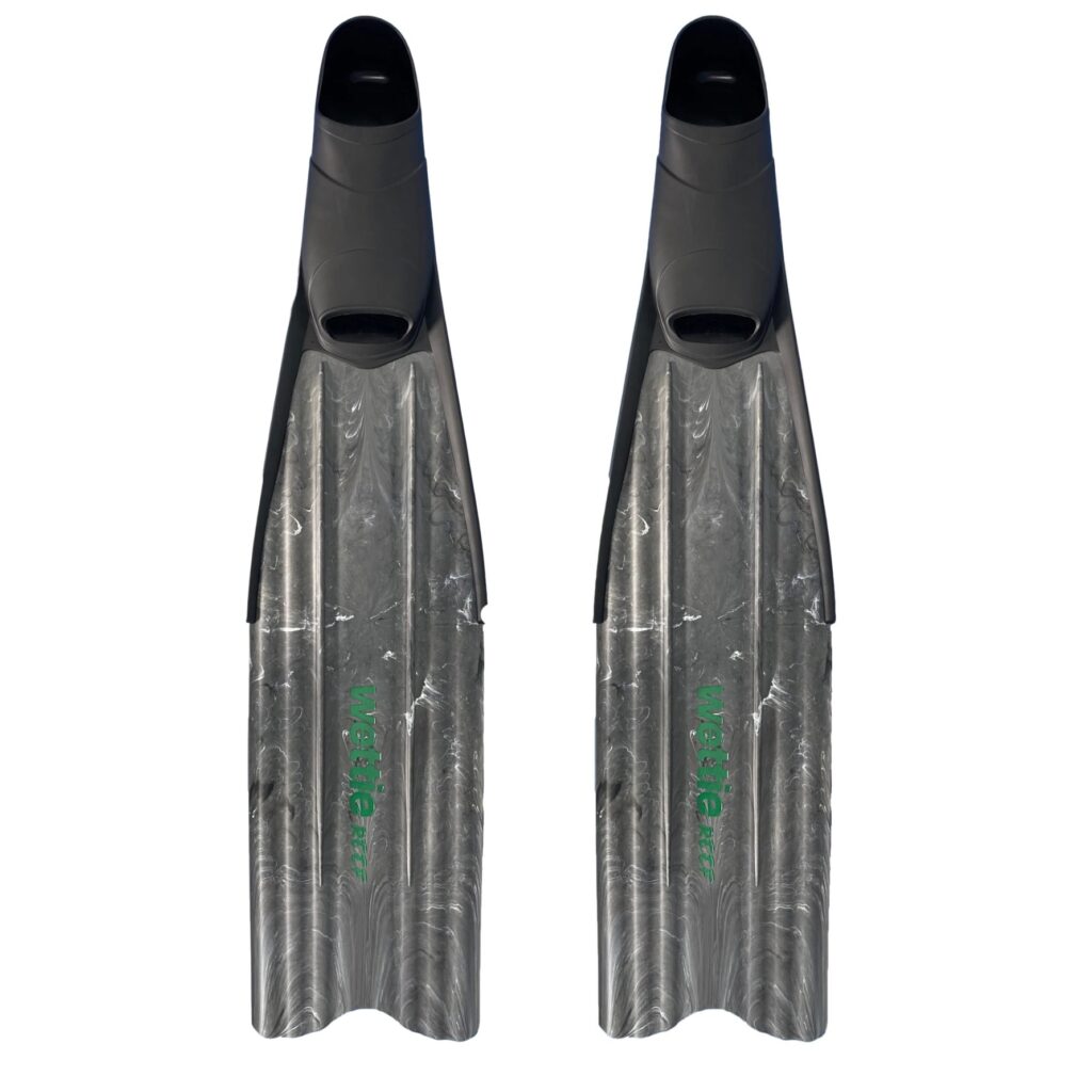 reef fins grey