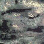 Ghost Camo