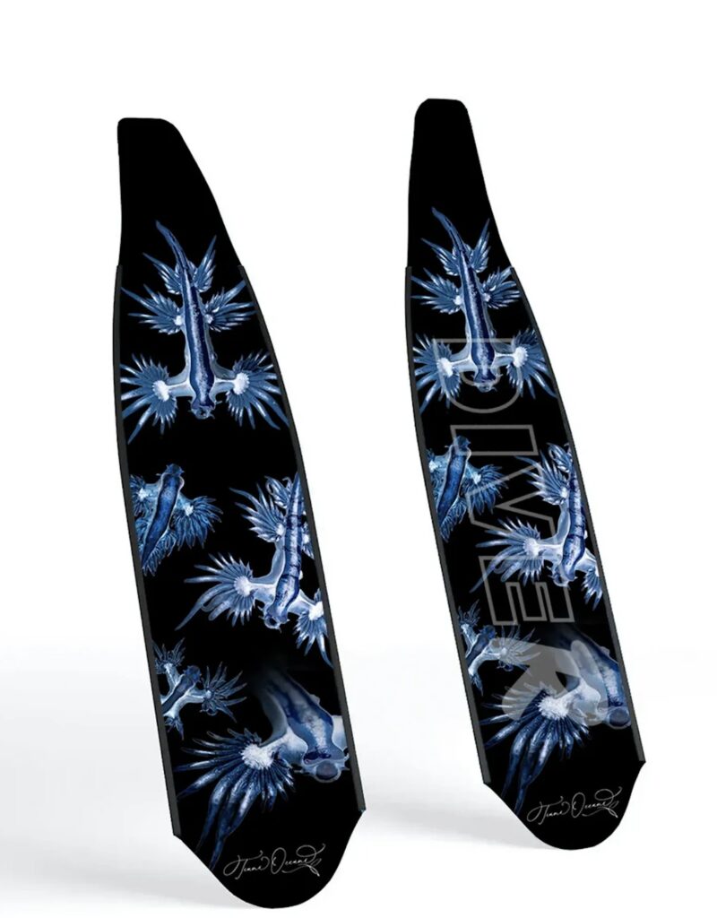 DiveR blue dragons 2