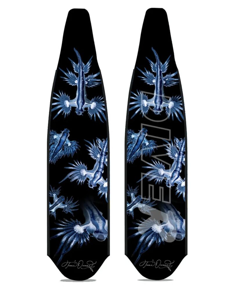 DiveR blue dragons