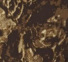 Brown camo