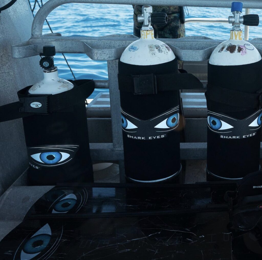 shark eyes tank 4
